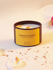 Load image into Gallery viewer, orange peel and coconut and rum scented candle