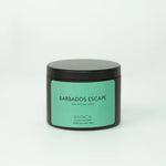 Load image into Gallery viewer, clean burning and organic tin candle
